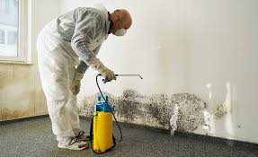 Best Commercial Mold Inspection  in Tiger Point, FL